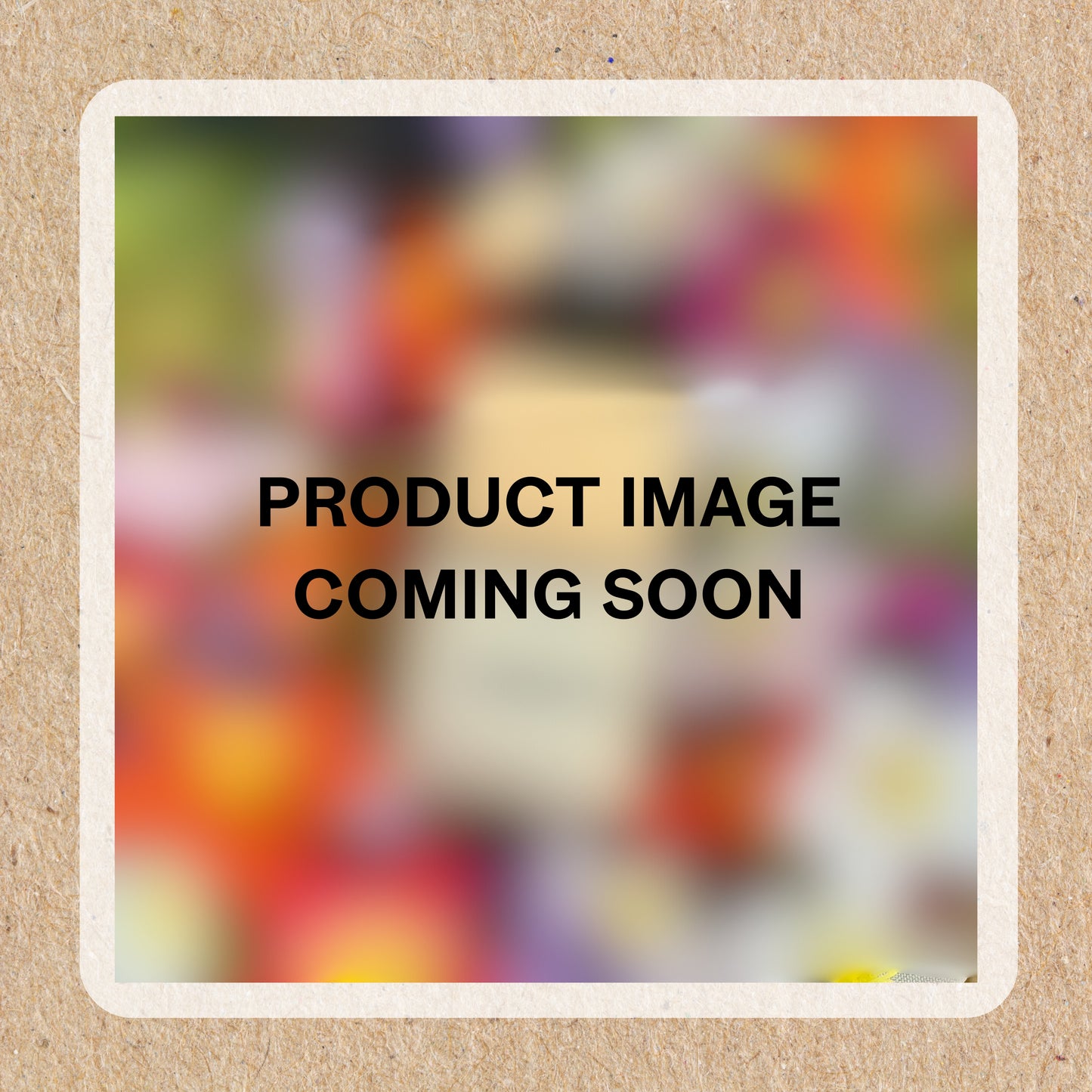 Velvet Tide Car Diffuser | 8ml